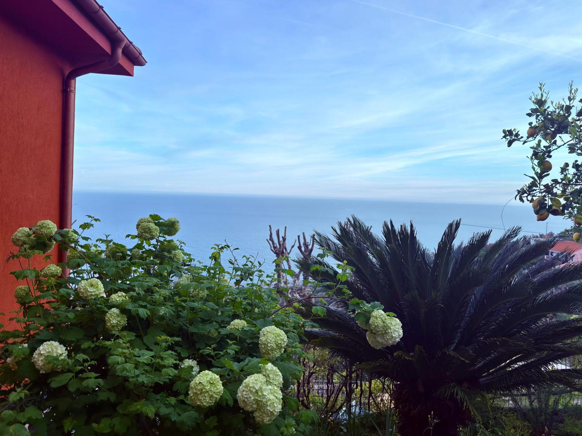 Villa Cielo Costarainera Exterior photo